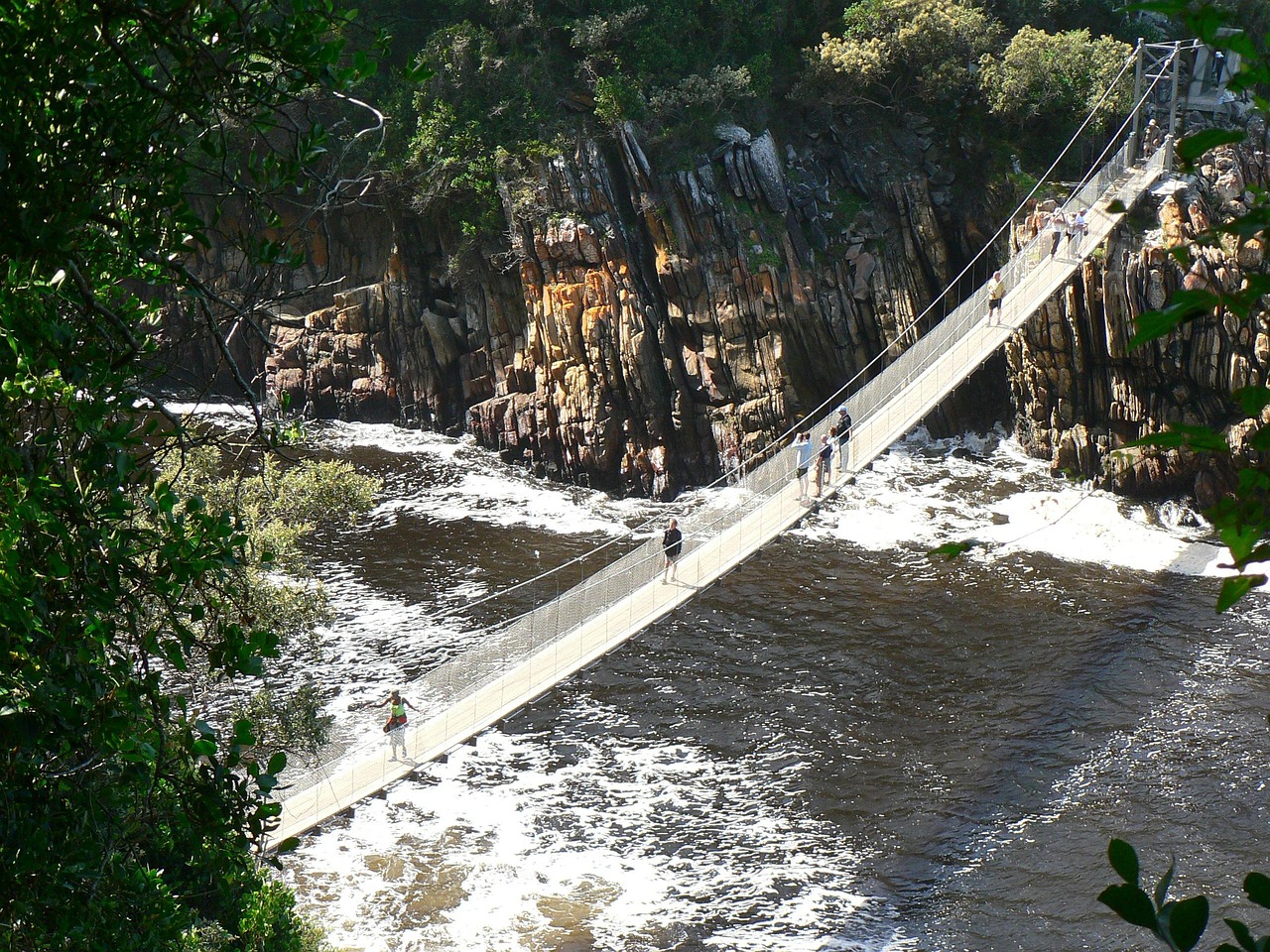 suspension bridge, tsitsikamma, the national park, south africa, landscape, africa, tsitsikamma, tsitsikamma, tsitsikamma, tsitsikamma, tsitsikamma